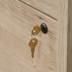 2 Drawer Aspen Post Lateral File Cabinet - Prime Oak - Sauder 10 2 Drawer Aspen Post Lateral File Cabinet - Prime Oak - Sauder -Officezen Shop GUEST 035c8aae 7632 48bf 9026 cb61afb0d243