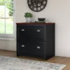 2 Drawer Fairview File Cabinet Antique Black - Bush Furniture